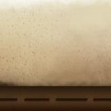 1000065069