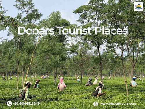 Dooars Tourist Places.jpg