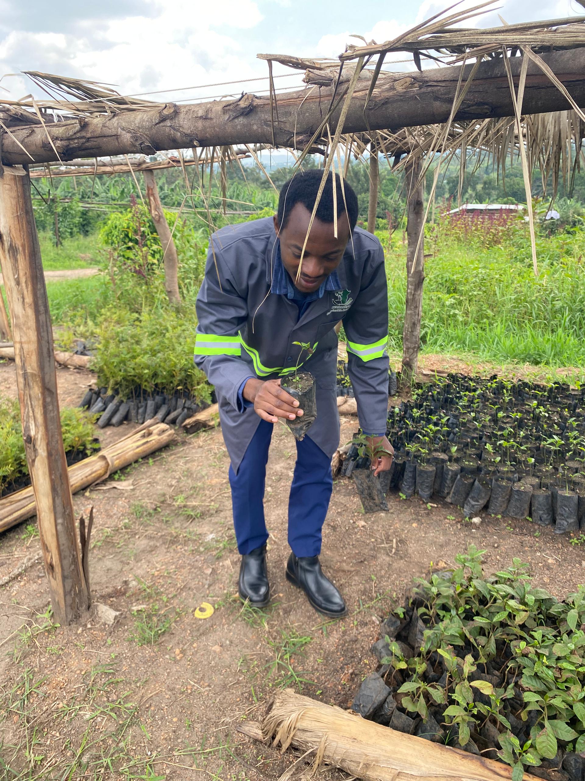 Sustainable agriculture