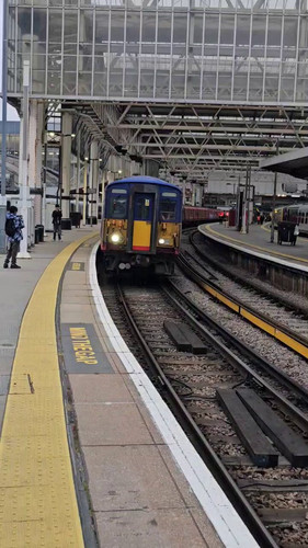 w2mHz hXhJ8Jwv5G.jpg