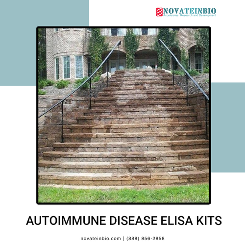 Autoimmune Disease ELISA Kits.png