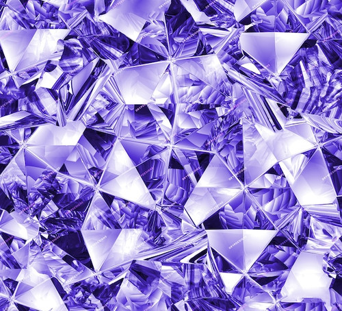 1000028659.jpg