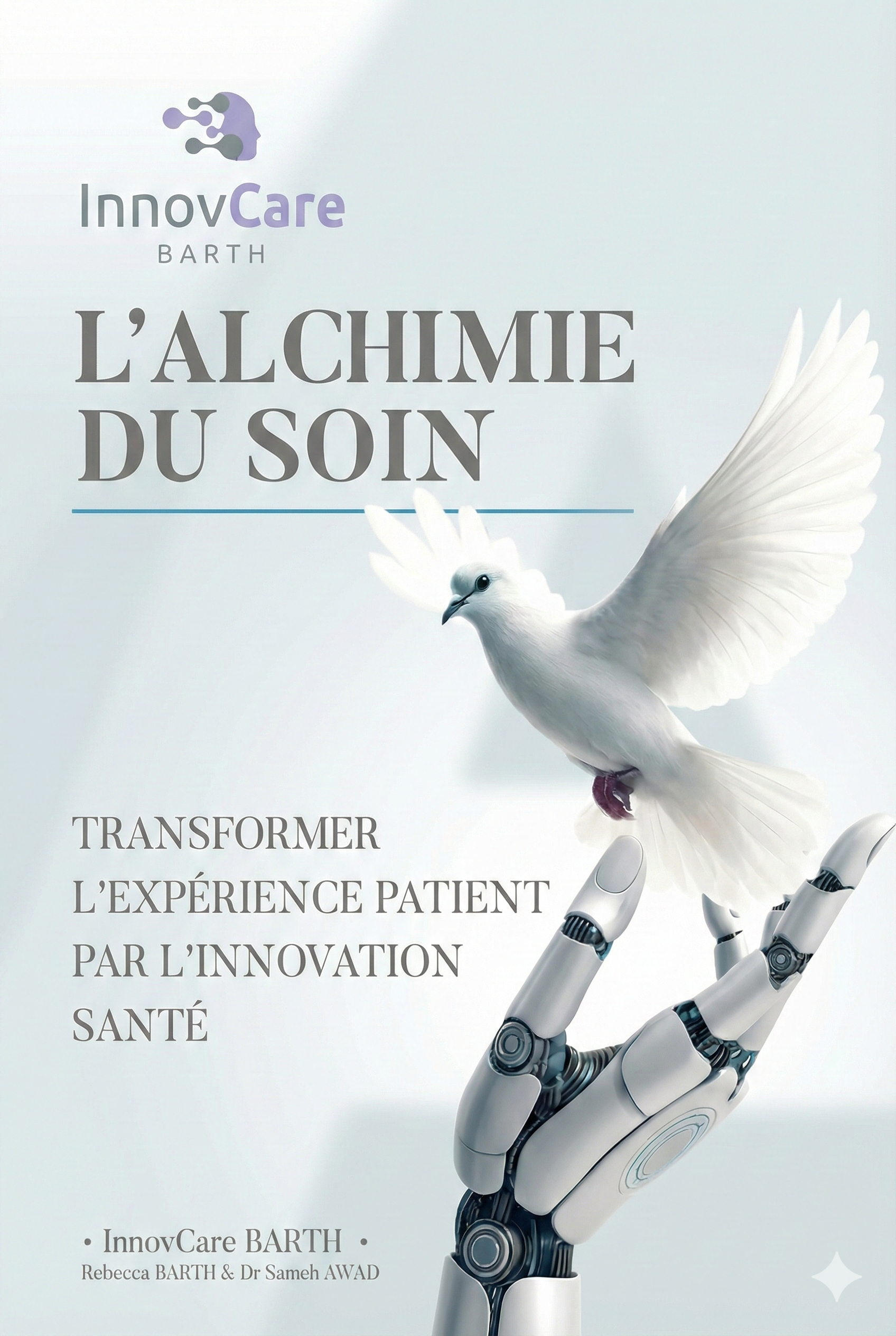 Couverture L'Alchimie du Soin