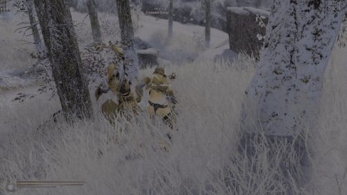 The Elder Scrolls V Skyrim Special Edition 2025.12.20 01.59.15.01 001.gif