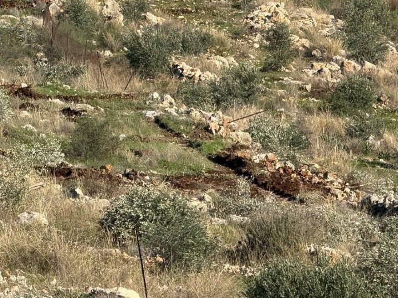 مصادر محلية: مستوطنون يقتلعون نحو 350 غرسة زيتون من أراضي المزارعين في بلدة دير بلوط غرب مدينة سلفيت....