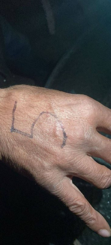 الجيش الإسرائيلي يكتب أرقاماً على أيدي فلسطينيين تم اعتقالهم في بلدة قباطية....