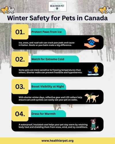 Winter Safety for Pets in Canada.jpg