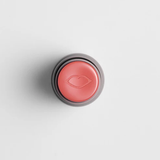 PROV.STICK COR BEAGA foto 4