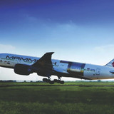 resized for web qatar mammoth