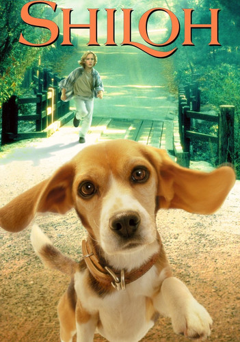 shiloh.jpg