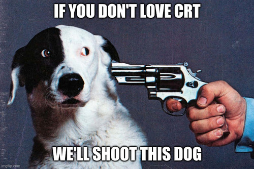 dog.jpg