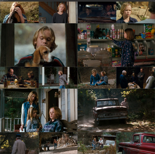 Shiloh.1996.German.AC3D.1080p.BluRay.x264 bobbel.mkv.jpg