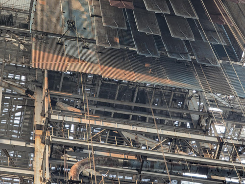 shared image (11).jpg