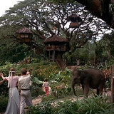 Los Robinsones de los Mares del Sur (7)