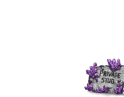 Amethyst priv stud.png