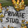 citrine priv stud thumb.png