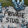 celestite priv stud thumb.png
