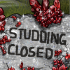 Ruby stud closed thumb.png
