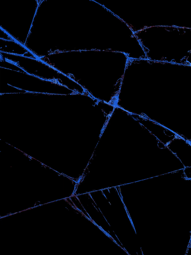1000091554.png