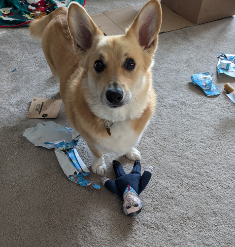 96A410EB A5EF 4F73 9832 0C99FA281448