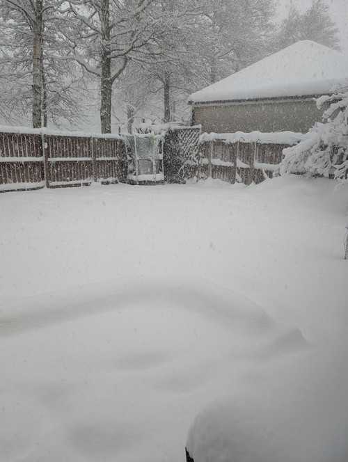 PXL 20260104 103953795