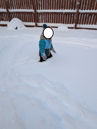 PXL 20260104 143624616