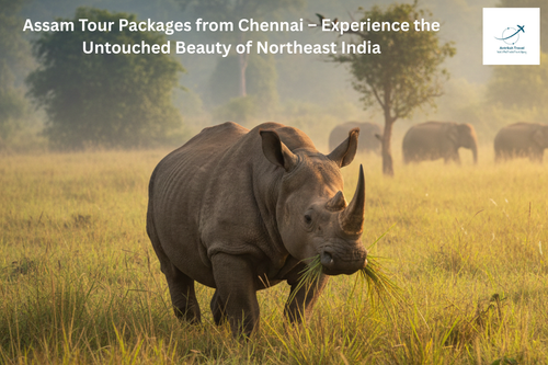 Assam Tour Packages from Chennai.png