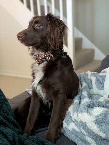 PXL 20251227 112454155.PORTRAIT