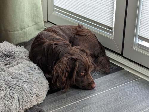 PXL 20260101 103239890.PORTRAIT