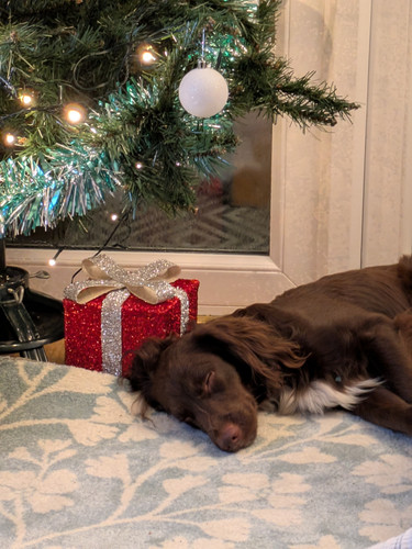 PXL 20251225 191403872.NIGHT