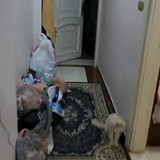 Videoframe 20260105 232112 com.huawei.himovie.overseas.jpg