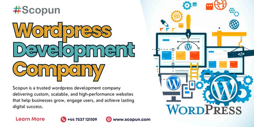 Wordpress Development Company.jpg