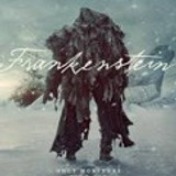 imgFRANKENSTEINDELTORO