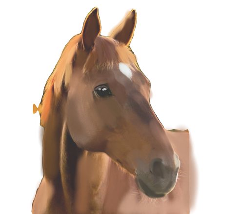 Untitled22 20251230141632