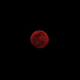 Blood Moon