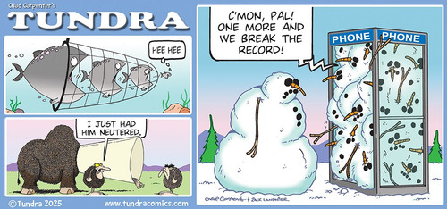 thumbnail 17676538469699011283659438378931.jpg