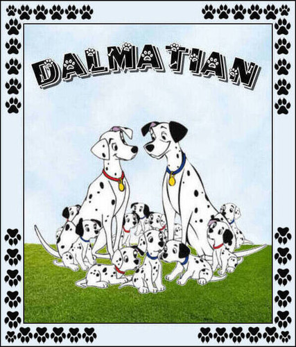 DALMATIAN