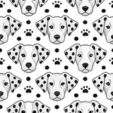 DALMATIAN