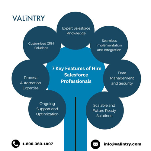  7 Key Features of Hire Salesforce Professionals.jpg