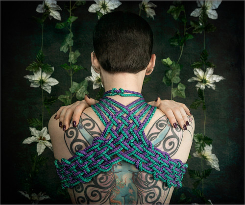 000 C 49503531521 02595a9af3 h.jpg