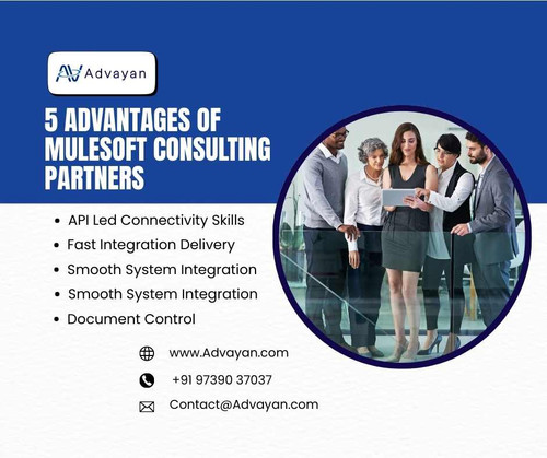 5 Advantages of Mulesoft Consulting Partners.jpg