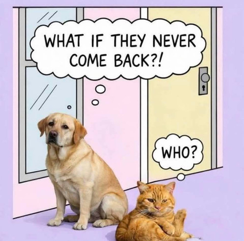 605640399 25459639223726382 8328534456815109301 n.jpg