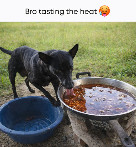 605709357 1198026632540002 1192236939225428917 n.jpg