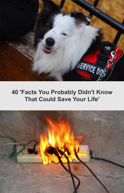 ig tt comments dcac99b1 e5d8 4099 a798 af39e1b3f7c9.png