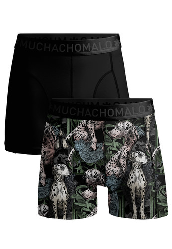 DALMATIAN1010 01.jpg