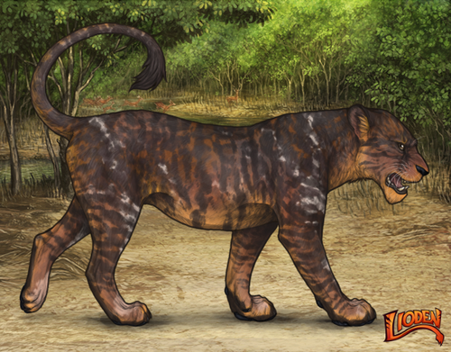 lioden wardrobe 2026 01 06T094339.471.png