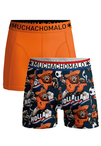 DUTCHLION1010 03.jpg