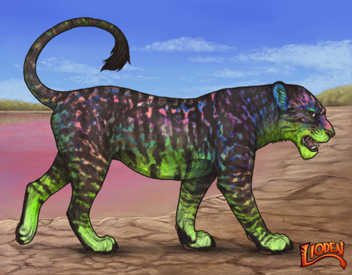 lioden wardrobe 2026 01 06T093119.843.png