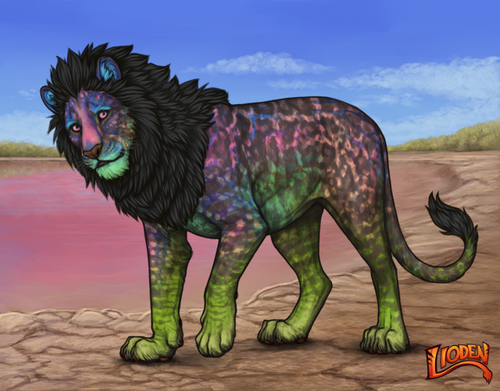 lioden wardrobe 2026 01 06T093022.413.png