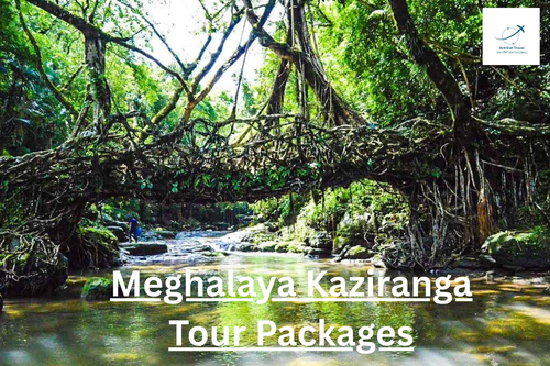 Meghalaya Kaziranga Tour Packages.png